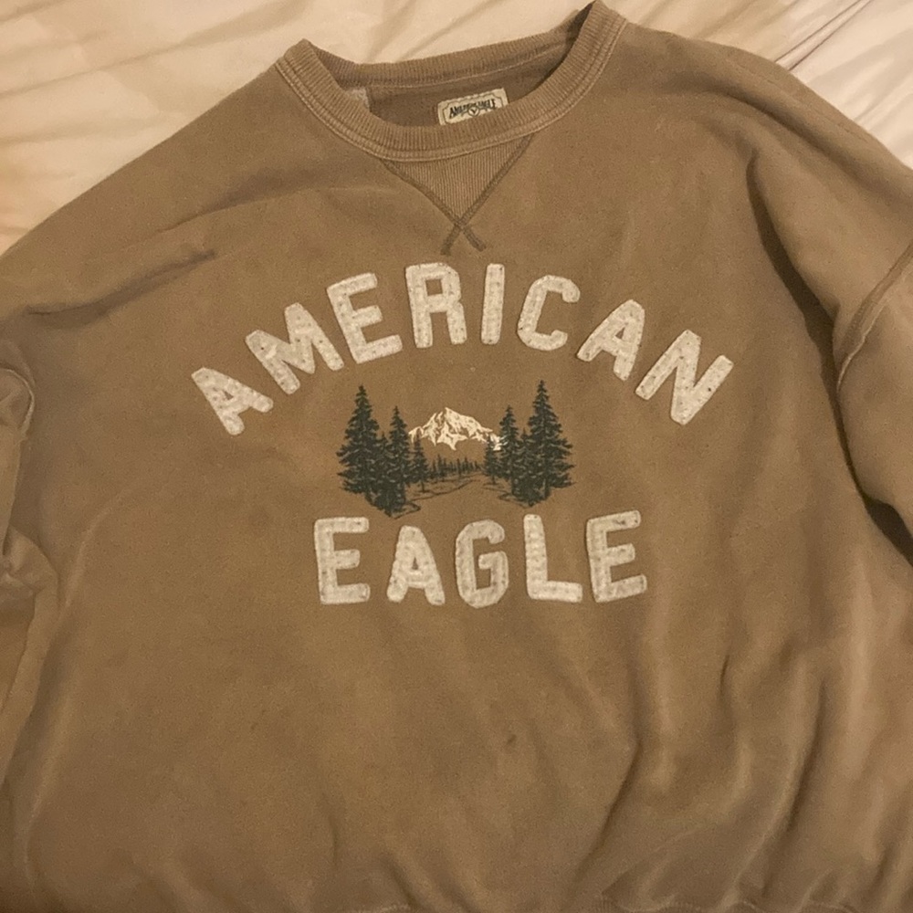 American Eagle Outfitters Men's Brown Sweater